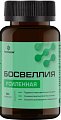 Купить босвеллия усиленная летофарм, капсулы 0,63г банка 60шт бад в Нижнем Новгороде