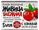 Купить живица таежная, жевательная резинка с клюквой, 5 шт в Нижнем Новгороде